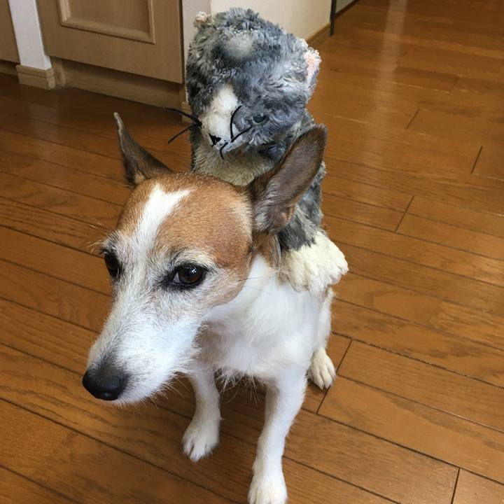 F7ccda49 aa5a 407a 9097 bc59e18fa0ab 1627689009648