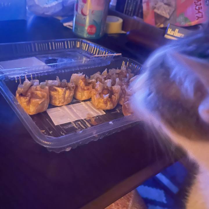 F7ccdeba 0128 4261 9e3a 14a3d04330d3 1625748837715