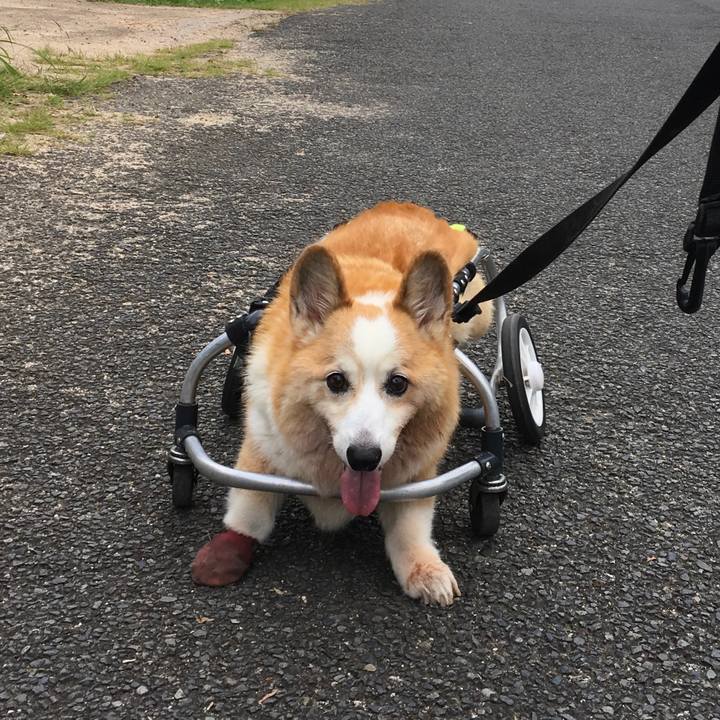 F7cce08f 4400 4d64 9f2e 4c20bf5a3082 1570374391608