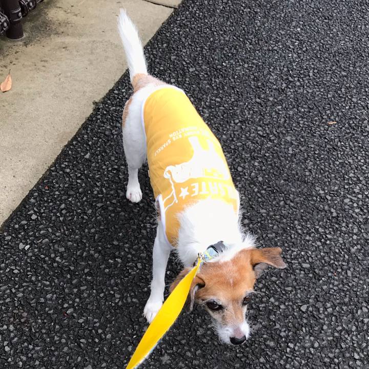 F7cce43b 5169 4968 80e7 d5adafabc1e4 1570505716238