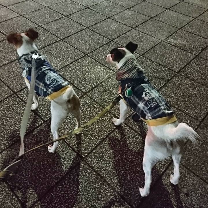 F7cd07c0 aa98 4568 87ec 096636f36c25 1534510315452