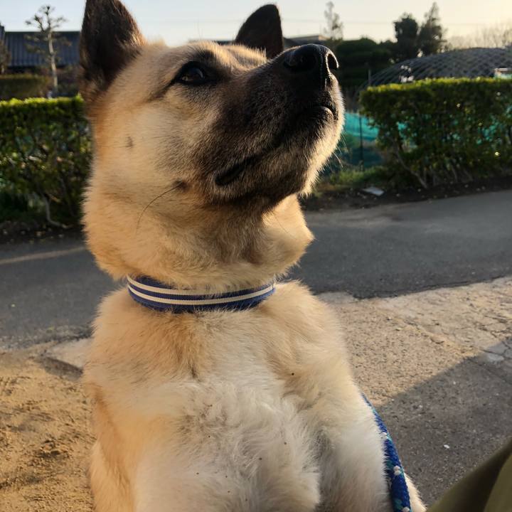 F7cd145f aada 40e6 a622 cf662adf087d 1616066881445