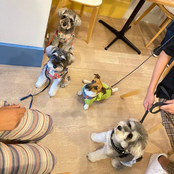 F7cd30c0 4fbb 4d81 8c07 7532204e2450 1592148951988