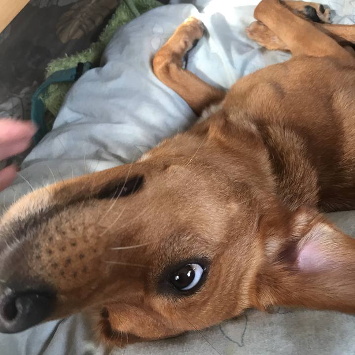 F7cd6323 43f2 42fa b0f1 89778167f666 1509586779162