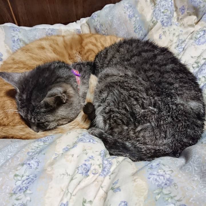 F7cdbb86 8315 47e7 b6fd 2ae5f674b2c3 1583411417319