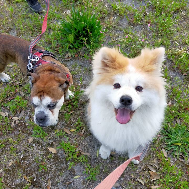 F7cdc405 4263 4e45 a354 6e8e5046a880 1682425154183