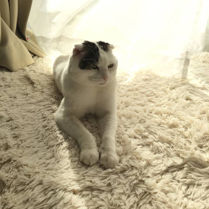 F7cdcfcf 41dd 474b 83f5 9c429ebcf87f 1525239256954