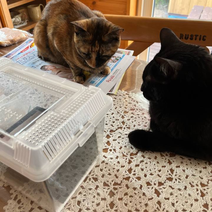 F7ce01e2 2eaa 4303 b186 49db9ede24fb 1687559475204