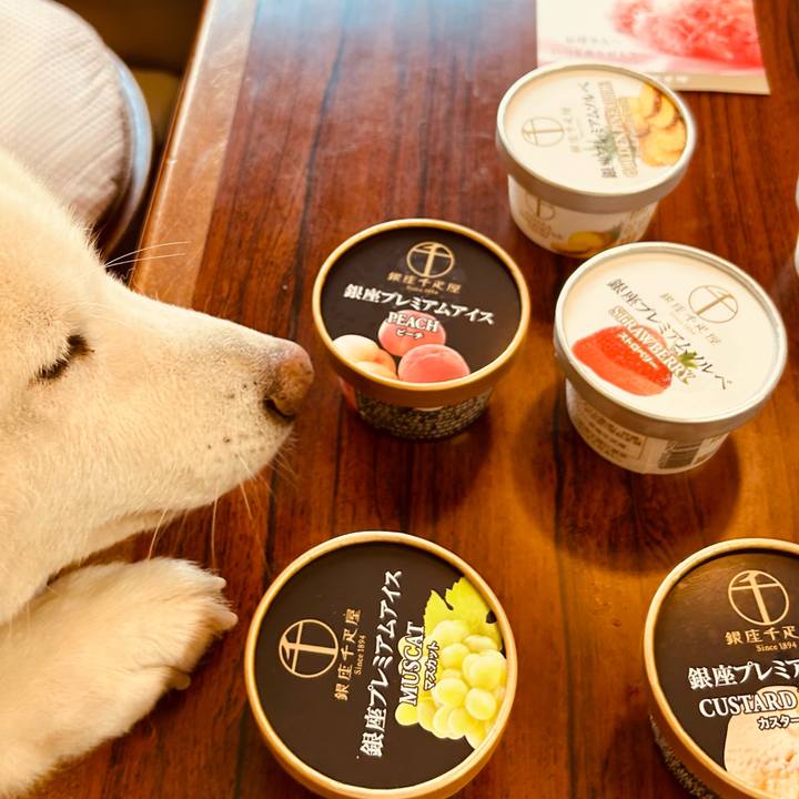 F7ce5a9d bd57 47b5 bba0 45dbdfc8bf85 1683949751819