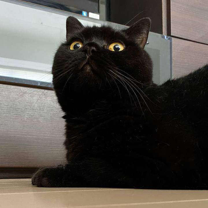 F7ce5f18 c0c1 4170 8515 7a3752832088 1692970358155