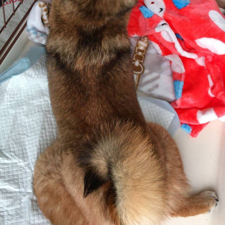 F7ce7091 405c 4d1e b78d 4529398f8d8c 1519427441444