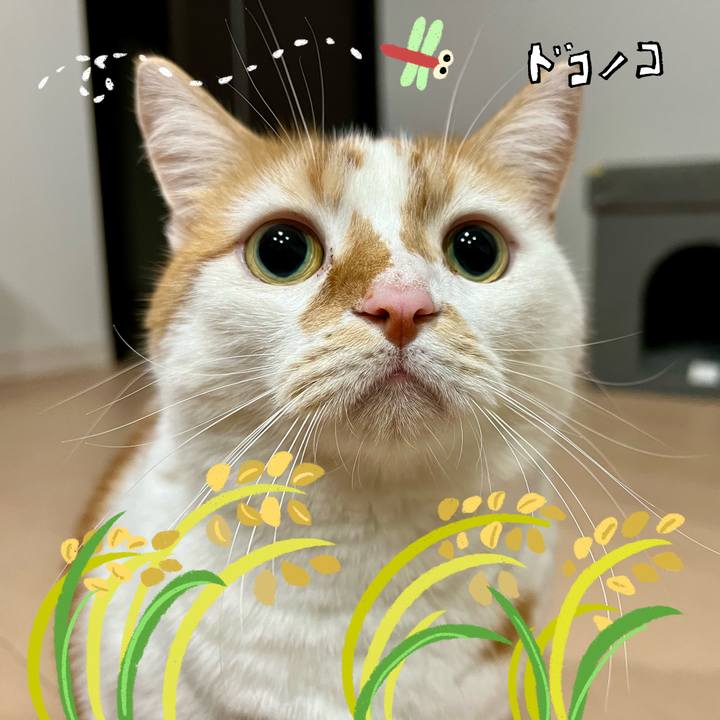 F7ce9798 7a5b 4ca7 9c6c 60df66c230cc 1762141685119