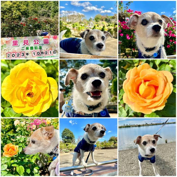 F7cea6b1 82c5 4421 833d 0dca384df1ed 1697869530122