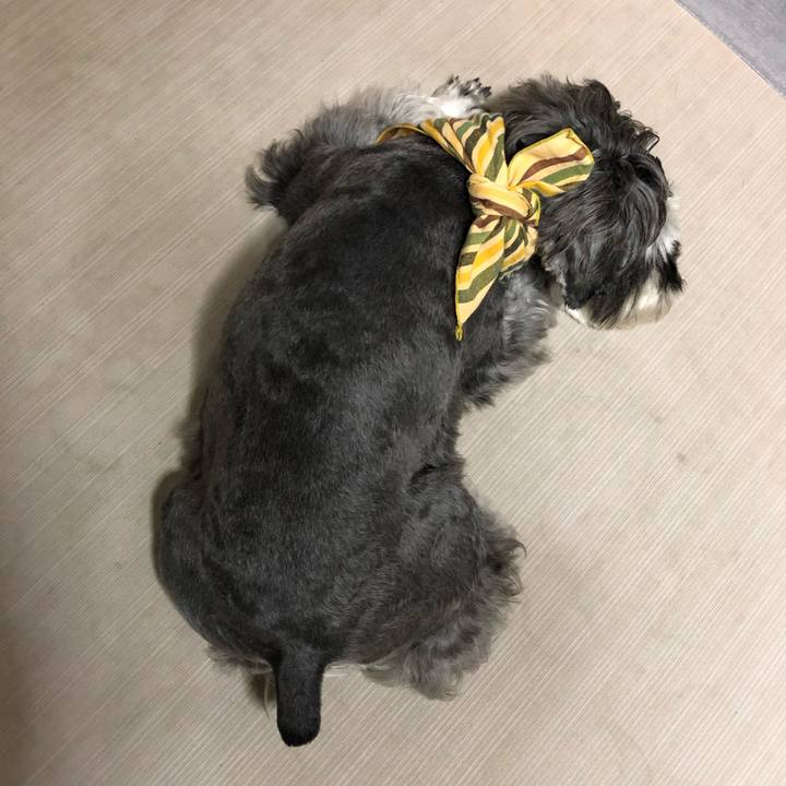 F7cec88c b4a2 4d18 8fe0 3ffe0b8b3919 1627739648975