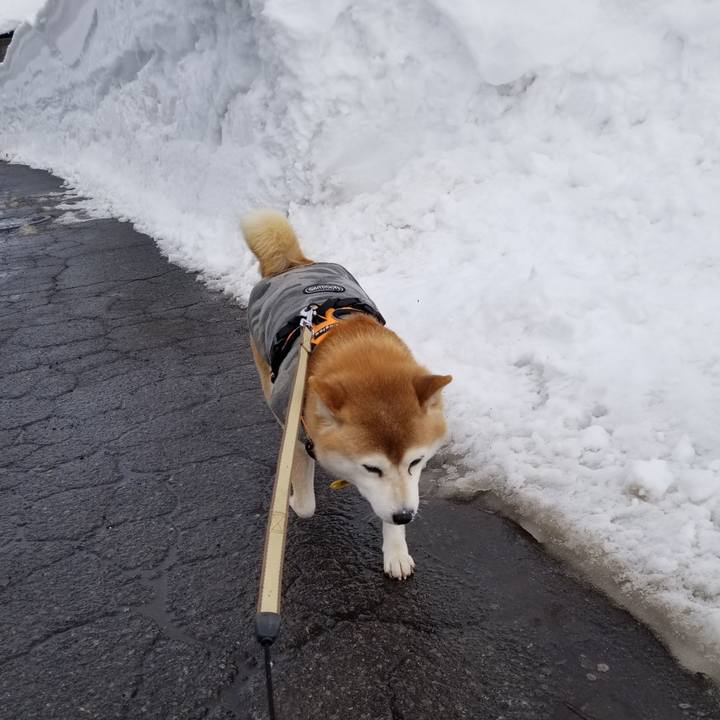 F7ceeebc 851f 4b6f b679 8e768a59646b 1645590759989