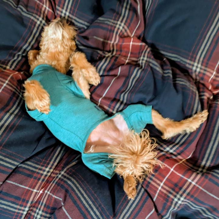 F7ceef38 3bf3 46d8 b5e5 f13b3146b8a2 1767182997560