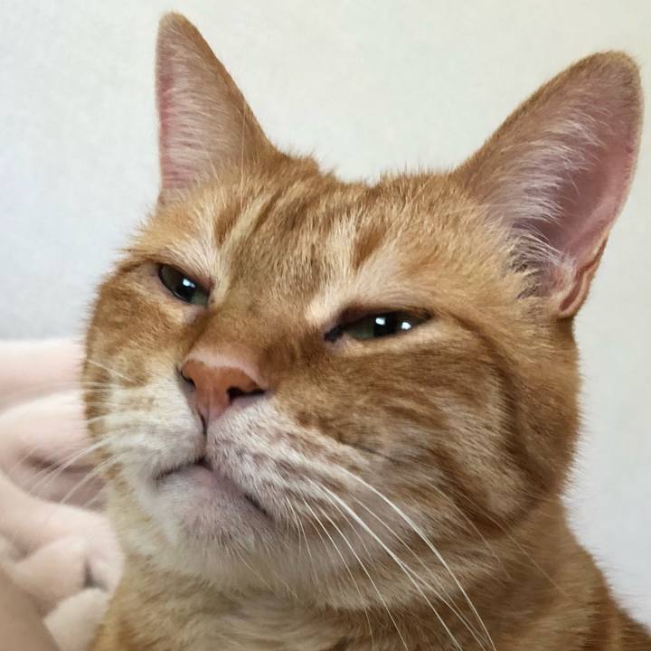 F7cef7e3 710c 4244 8f6a abaa5e599d14 1653492434170