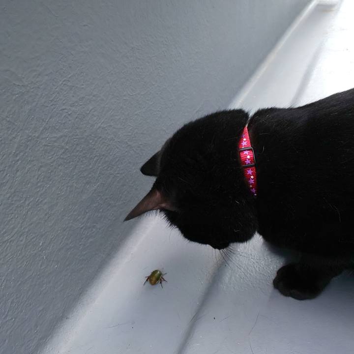 F7cf02cc f705 44af 8bbc 888f1b12d1d6 1564440495420