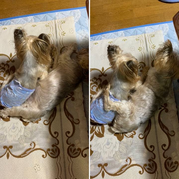 F7cf0cab 3617 46ea 99d4 f5d9d565620b 1659434282546