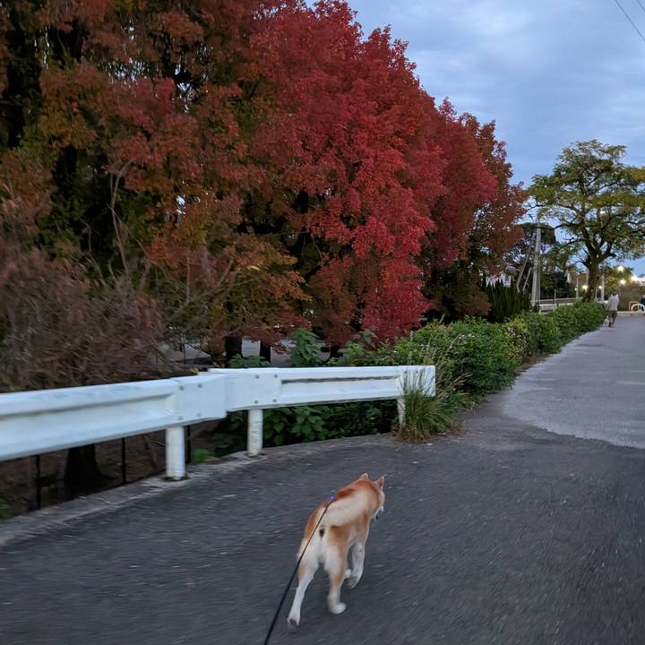 F7cf266f a3f6 41c2 a448 577396c5610e 1763513572008