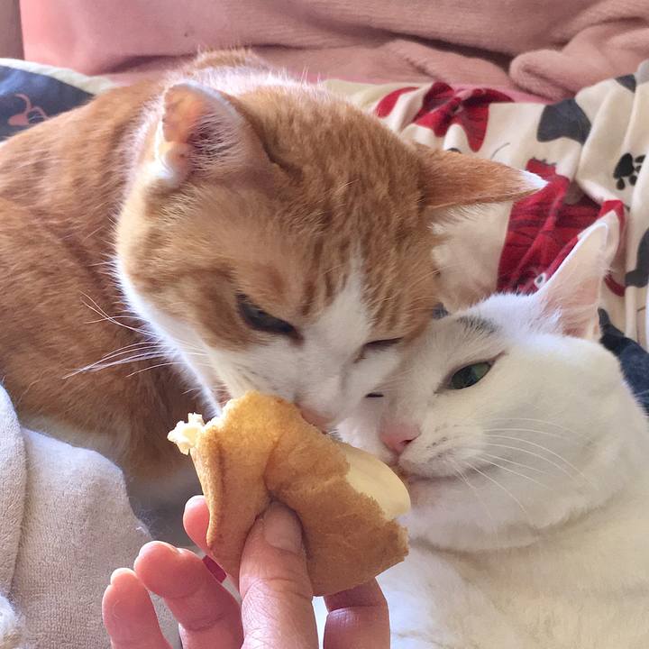 F7cf2fe7 1ee3 42f2 b541 d97f1ab7cd69 1589023351639