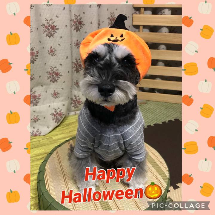 F7cf6e1b e226 46ac 9385 92c1c96ac8b8 1698745604096