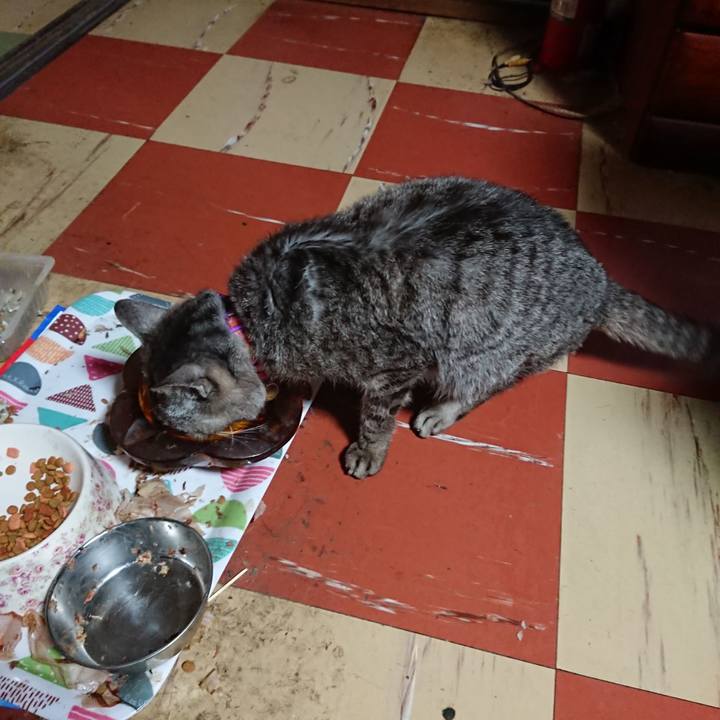 F7cf7107 1386 496d a92d 365e14a2e9b0 1591300720503