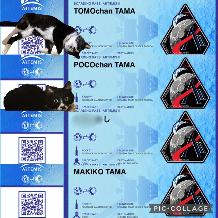 F7cf8537 49cd 40b6 a8e8 723b710acb28 1757718957773