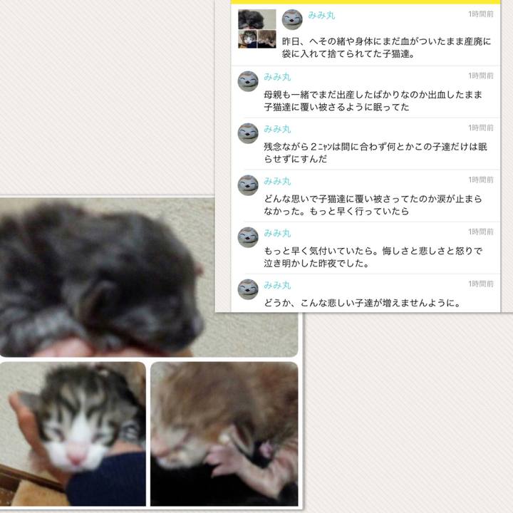 F7cf91ee 7528 48c5 91fd d51051d4672c 1516879851798