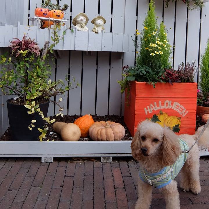 F7cfb616 db55 43b2 8aab 41cbde7e8ed7 1540896891153