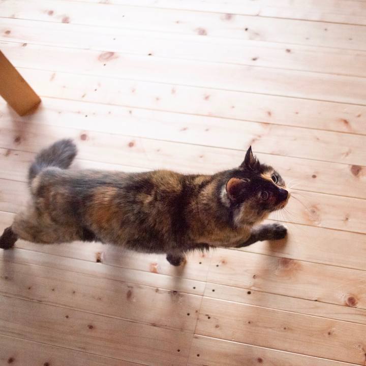 F7cfd5e0 dec9 477b ac51 67d8f3eb35da 1578703170658