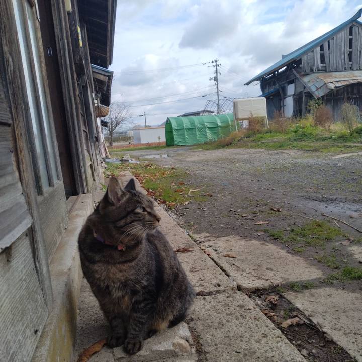 F7cfe8b2 6764 440c b457 09dba50d8674 1668826747392