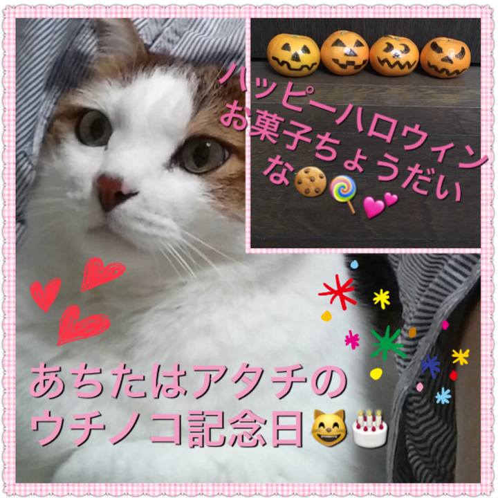F7cfee63 1ccc 4ea1 82fd df6b8fc0002d 1509446818632