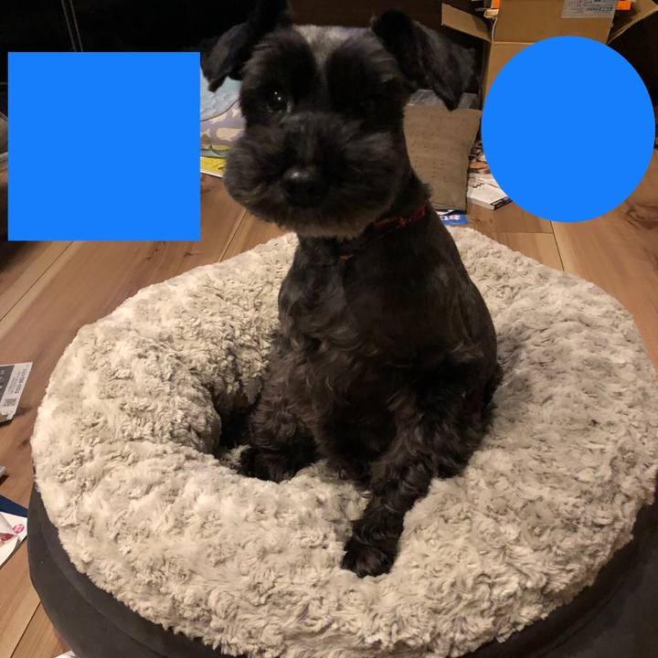 F7d017ba bdbc 4658 94f6 198d4dce3ac8 1542543929106