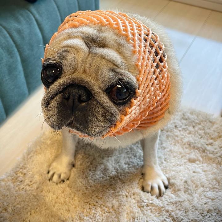 F7d054aa 43fb 4e7e 84e8 8cb6238644a6 1763348558304