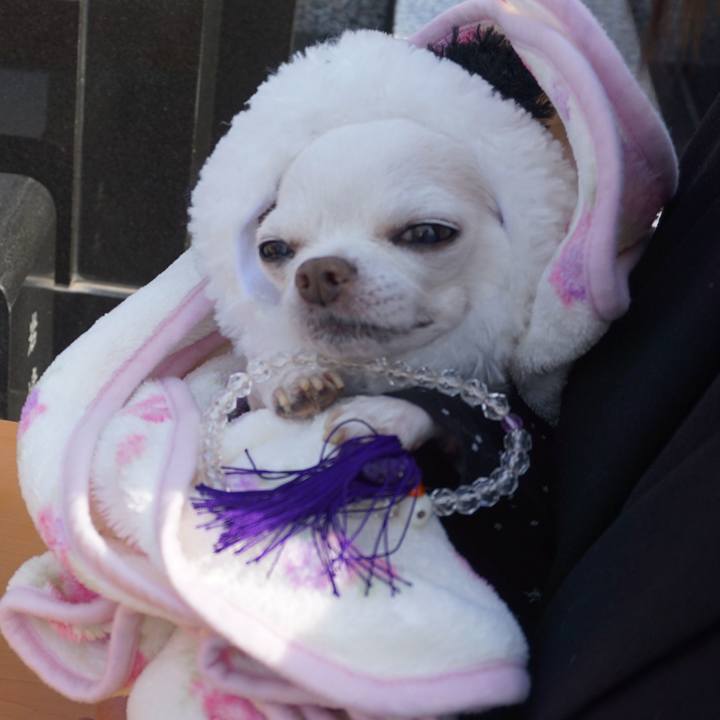 F7d06ba9 1b44 47d5 a8a4 063bc64806e2 1573207423450