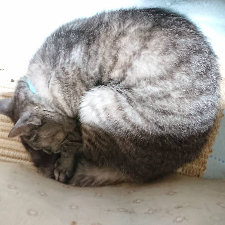 F7d072eb 6433 43b4 bc3e 2ac87c9f752a 1567806477356