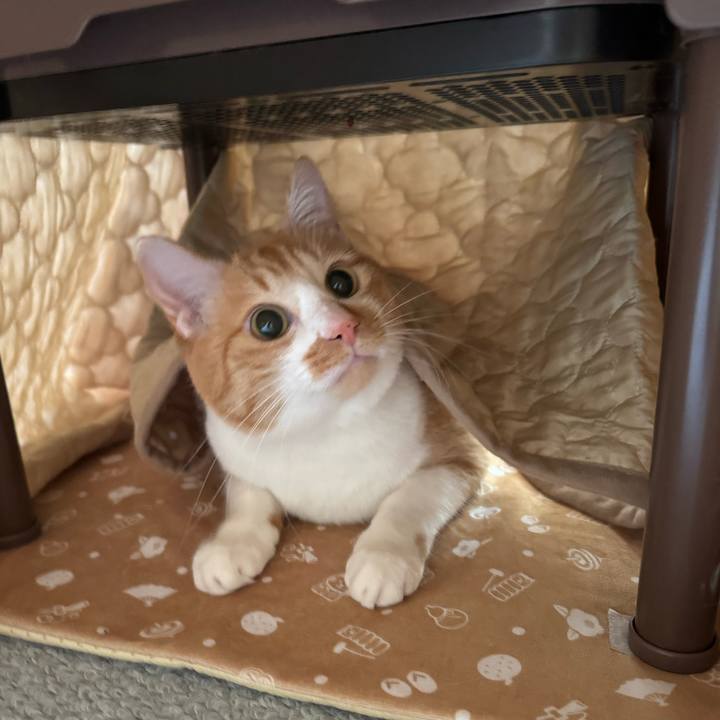 F7d0aa0e 2b85 4b31 872c e6c66763d444 1768446158016