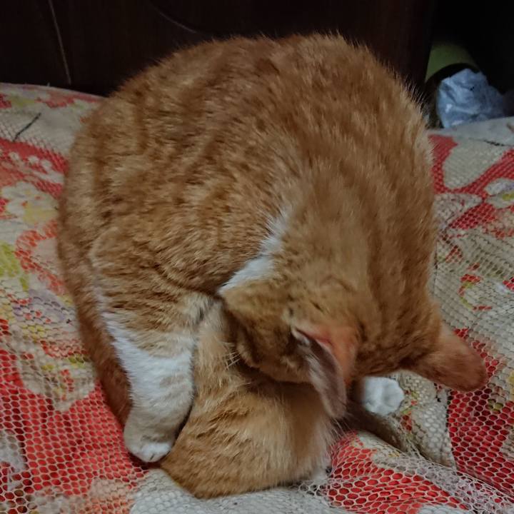 F7d10dac a1ed 45ec bfd8 a67c9f1d93a6 1554210130285