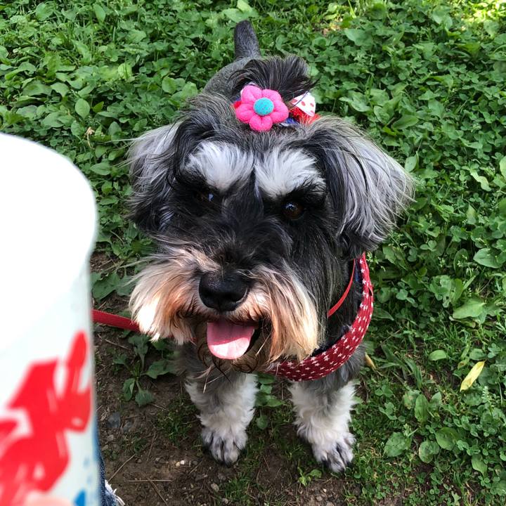 F7d15f39 e75f 4ffd 8e95 da3362ad9f74 1558272555186