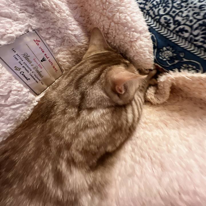 F7d18621 b2b7 4c66 a5c0 a44097236e18 1684932204025