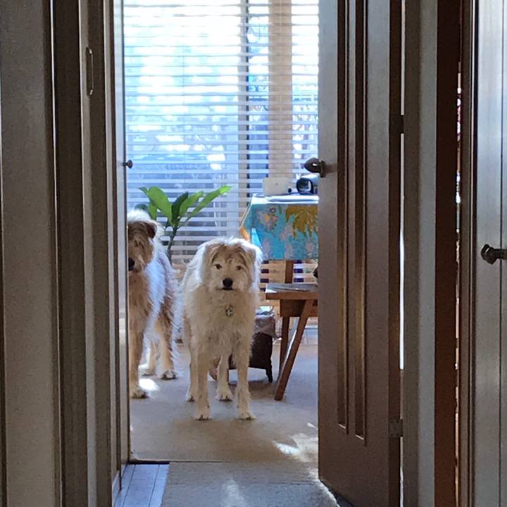 F7d18ae4 1288 4d7d 9799 4973986cece5 1575072506376