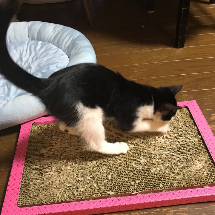 F7d1c125 bfa1 4069 94ab 8605f27f2c42 1508075992445