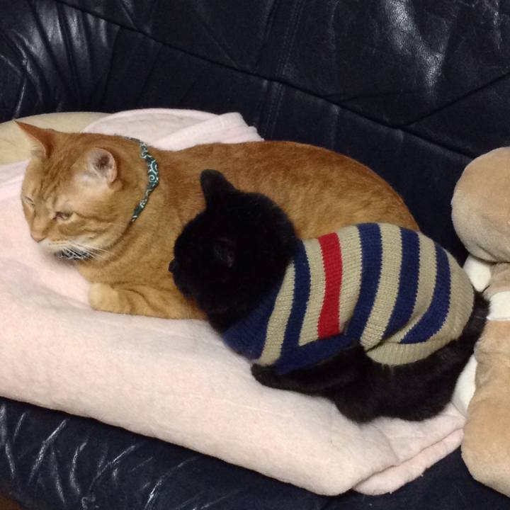 F7d1c5ac 67c7 4e1f 9ec8 bc93cc11d994 1549286694823