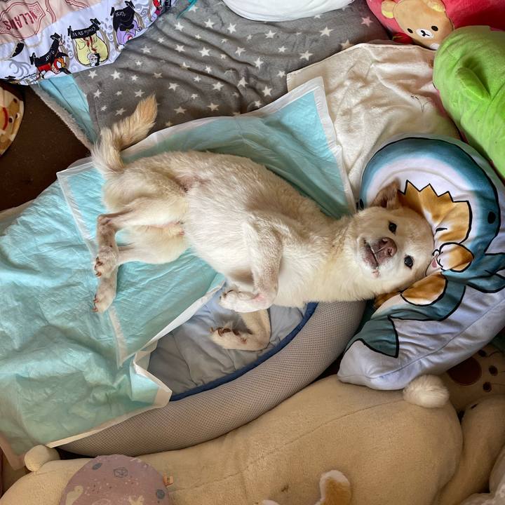 F7d1d067 6f06 46a7 977d a02c154d0e9c 1679977046173