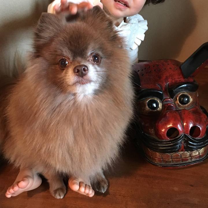 F7d1e8f2 b505 4b4f 94f7 f274a7444789 1514793673632