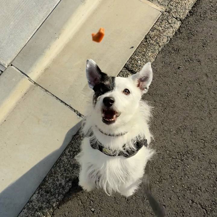 F7d2bad9 271a 4995 8ae9 d8add4322391 1762471918318