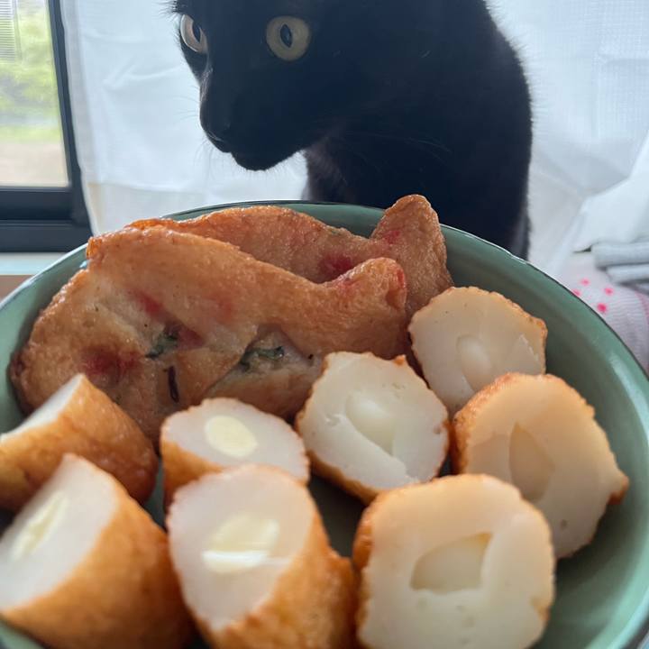 F7d2c7d5 d6f4 4775 81f9 f977e8e9f7f6 1745211291713