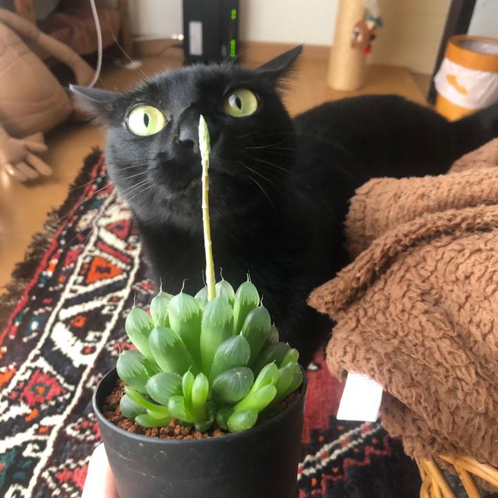 F7d32b60 8b38 441d 89e5 d93bbcda75ed 1584756587687