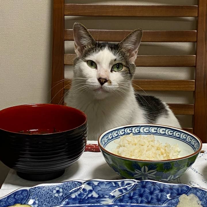 F7d344a2 5123 4acc 929c bd023a528bac 1663416718538